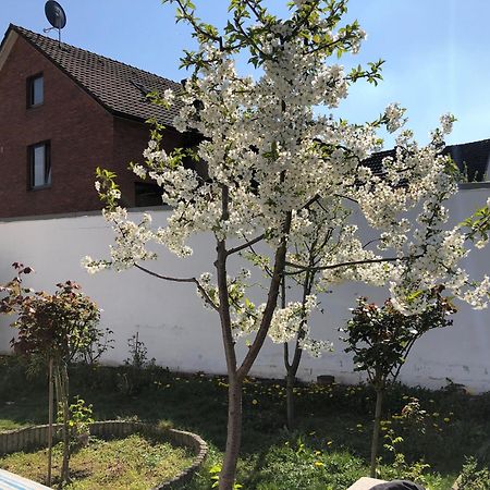 Kleve-Kellen Appartement Kleef Buitenkant foto