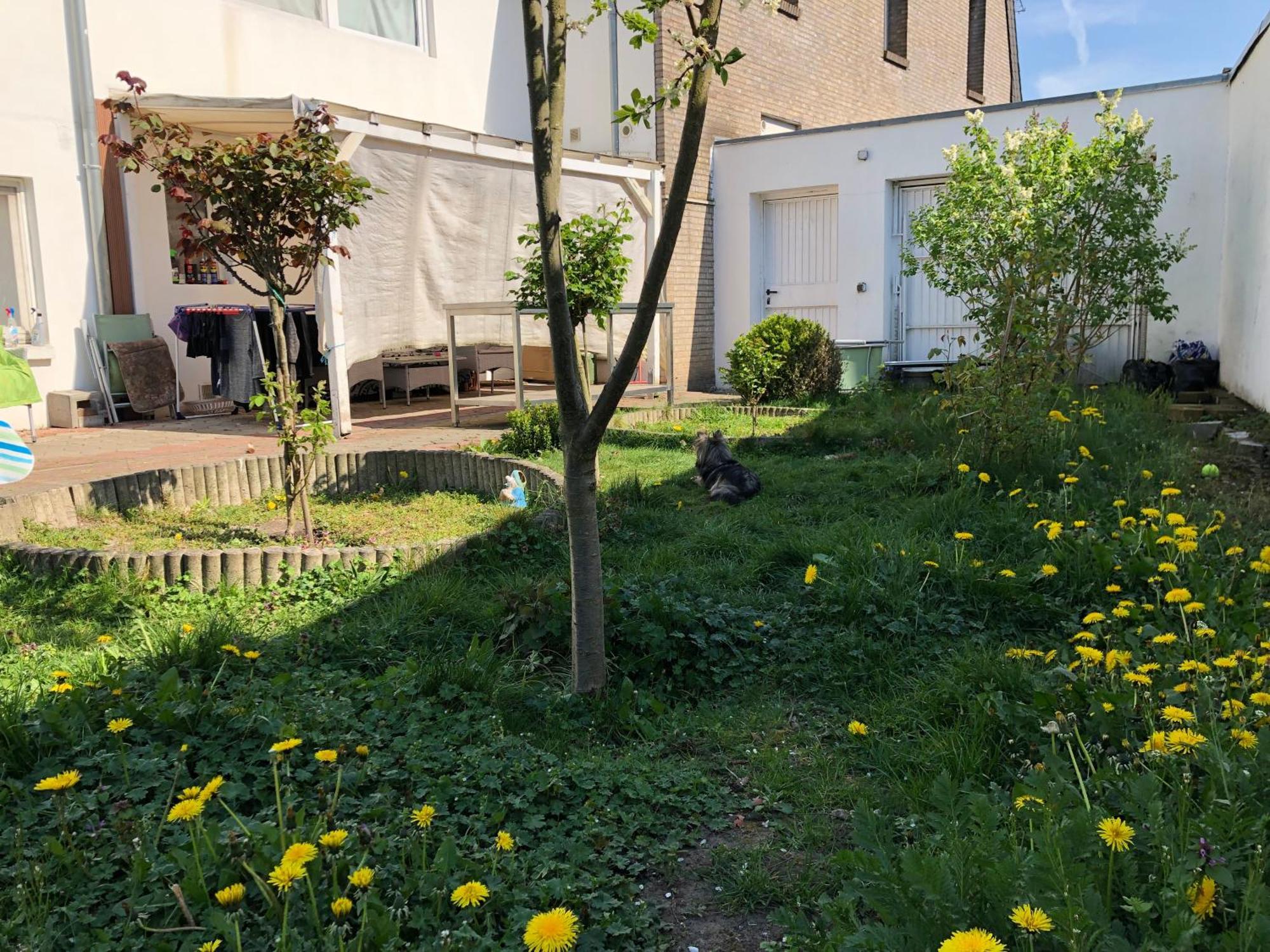 Kleve-Kellen Appartement Kleef Buitenkant foto